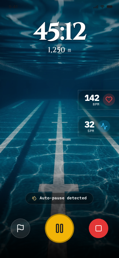 squizzy.app app preview